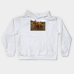 Scottish Highland Cattle Cow 2387 Kids Hoodie